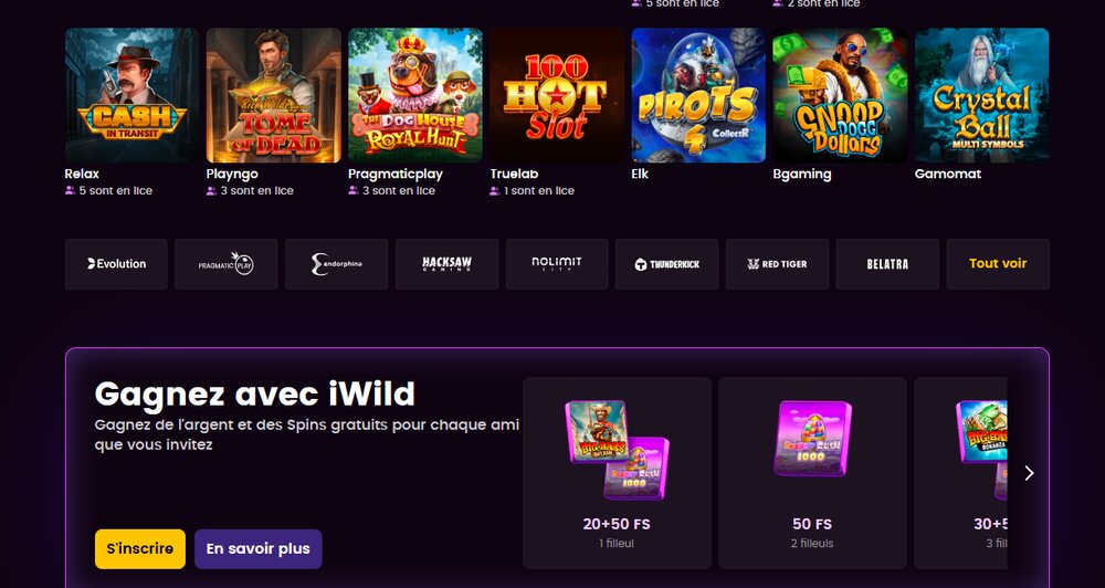Haaptsäit vum iWILD Casino